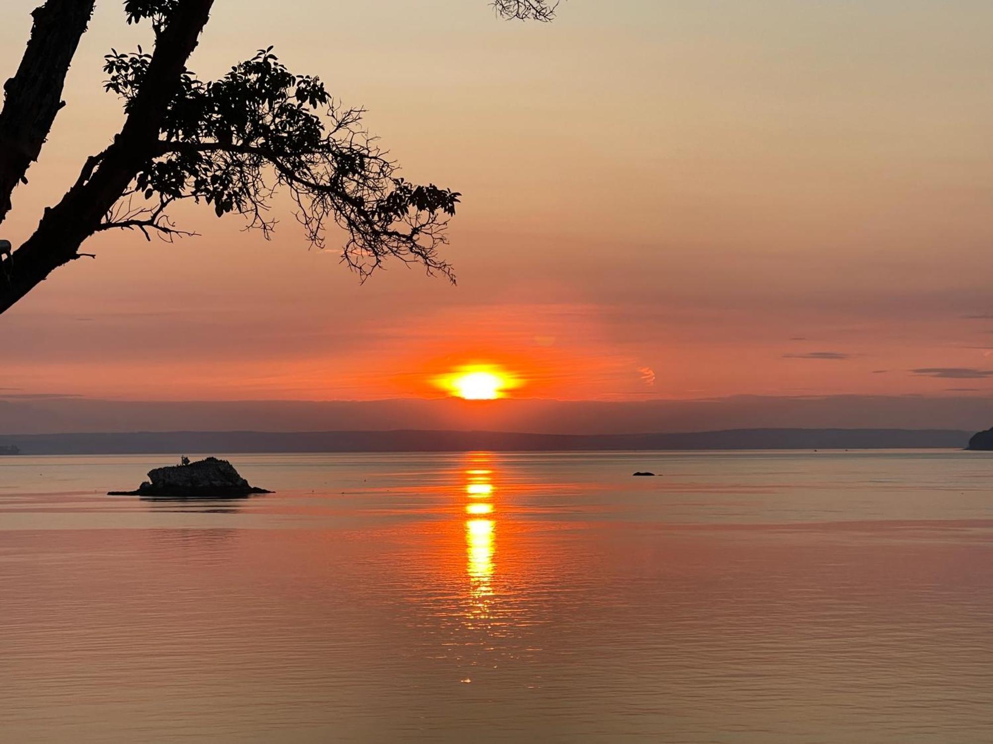 Puget Sound Chic Romantic Cottage With Private Beach Access & Gated Entry Port Ludlow Exteriér fotografie
