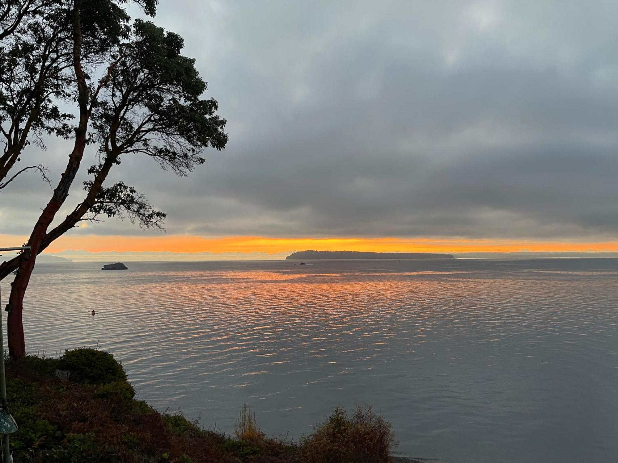 Puget Sound Chic Romantic Cottage With Private Beach Access & Gated Entry Port Ludlow Exteriér fotografie